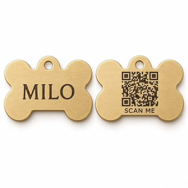 Bone · Brass Collarmate Tag, engraved front and QR code back