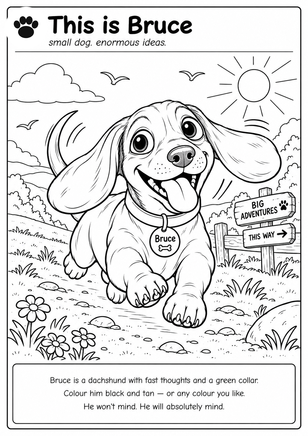Colour in Bruce