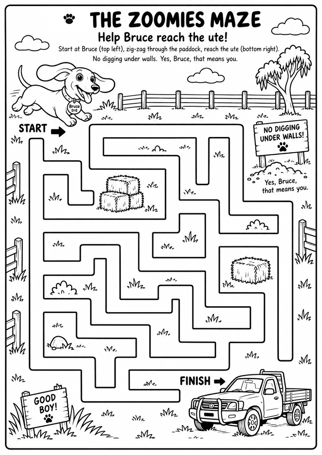 Help Bruce find Otis: maze