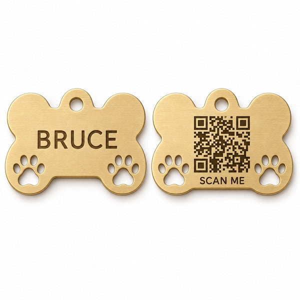 Paw bone · Brass Collarmate Tag, engraved front and QR code back