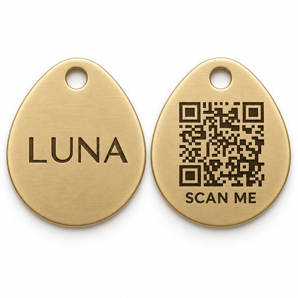 Pebble · Brass Collarmate Tag, engraved front and QR code back