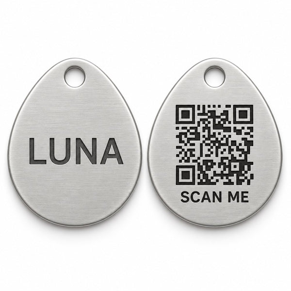 Pebble · Stainless Collarmate Tag, engraved front and QR code back